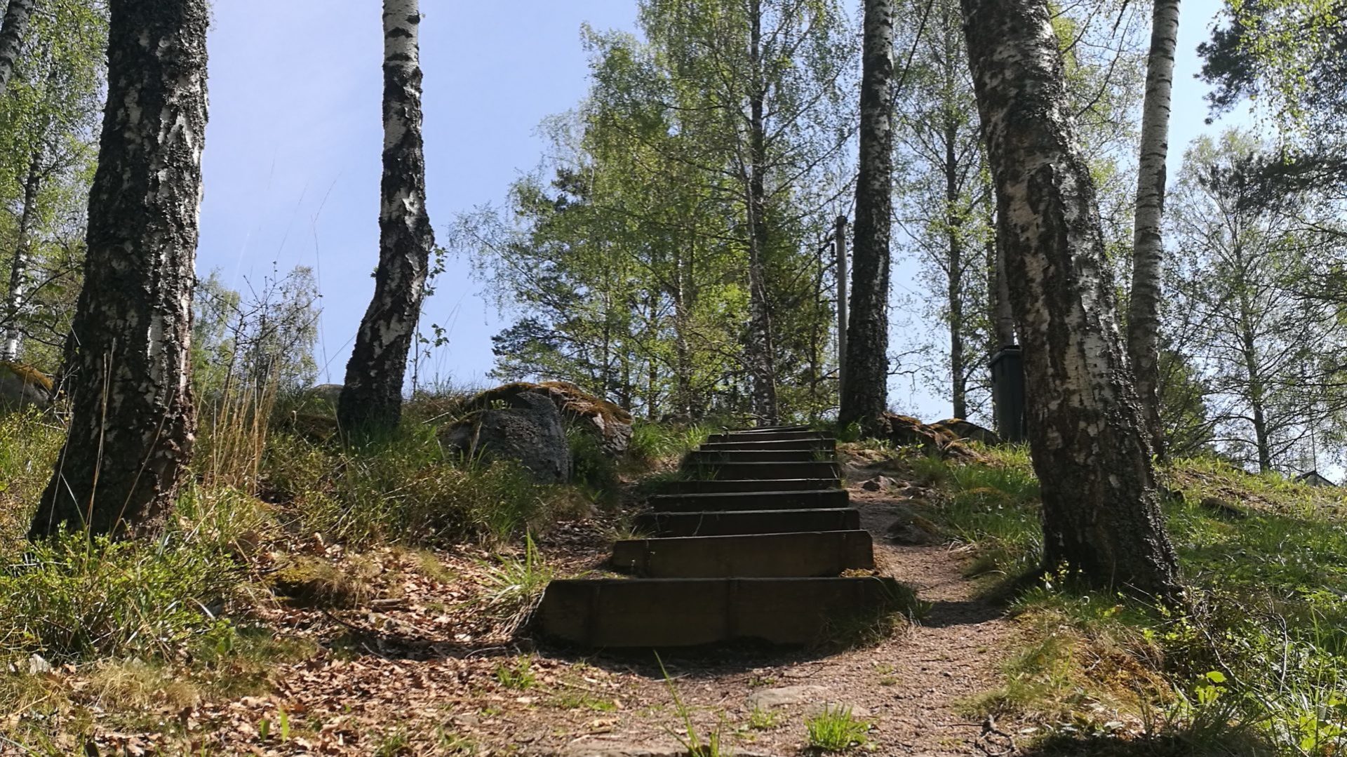 Öllösa